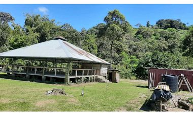 VENDO Seis Hectareas Sortova