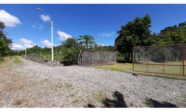 VENDO Seis Hectareas Sortova