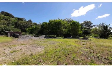 VENDO Seis Hectareas Sortova