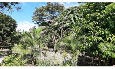 VENDO Seis Hectareas Sortova