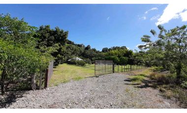 VENDO Seis Hectareas Sortova