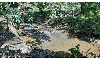 VENDO Seis Hectareas Sortova