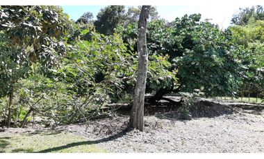 VENDO Seis Hectareas Sortova