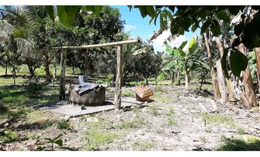 VENDO Seis Hectareas Sortova