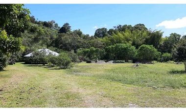 VENDO Seis Hectareas Sortova