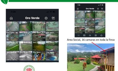 Finca productiva en Venta en Cachipay