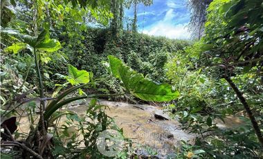 Casa amoblada en arriendo, La Florida, Villamaría