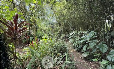 Casa amoblada en arriendo, La Florida, Villamaría