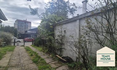 Isla Teja, Casa los Alerces / Destino Comercial