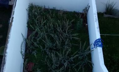 Triplex en alquiler en Ciudad Jardin