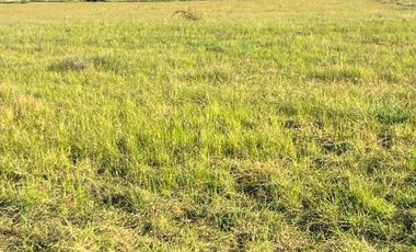 Parcela en venta  en PARRAL