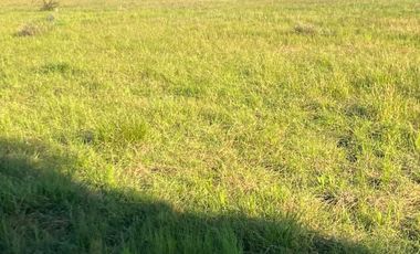 Parcela en venta  en PARRAL