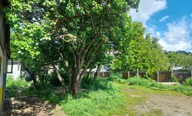 SITIO EN VENTA CIUDAD DE OSORNO OVEJERIA