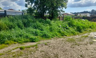 SITIO EN VENTA CIUDAD DE OSORNO OVEJERIA