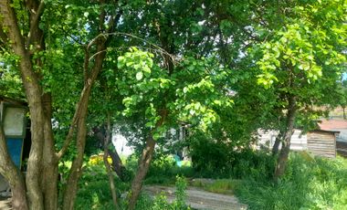 SITIO EN VENTA CIUDAD DE OSORNO OVEJERIA