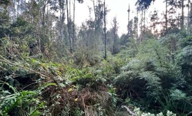 HERMOSA OPORTUNIDAD DE VIVIR EN EL SUR