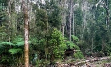 HERMOSA OPORTUNIDAD DE VIVIR EN EL SUR