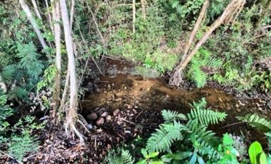 HERMOSA OPORTUNIDAD DE VIVIR EN EL SUR