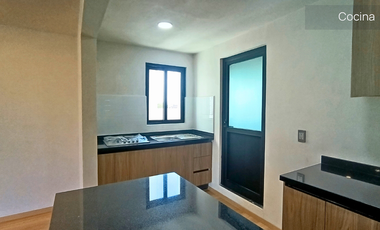 Departamento en renta en Metepec pet friendly con privacidad real – $13,000