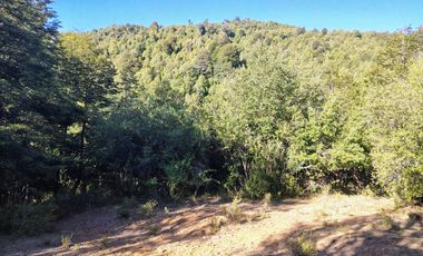 PARCELAS DESDE 5000 M2 CERCA DE NEVADOS DE CHILLÁN