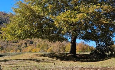 PARCELAS DESDE 5000 M2 CERCA DE NEVADOS DE CHILLÁN