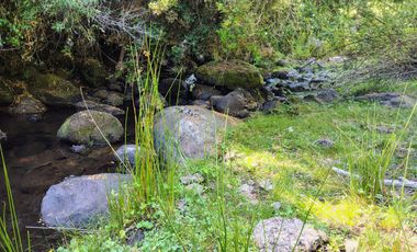 PARCELAS DESDE 5000 M2 CERCA DE NEVADOS DE CHILLÁN