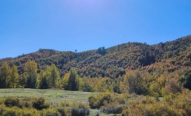 PARCELAS DESDE 5000 M2 CERCA DE NEVADOS DE CHILLÁN