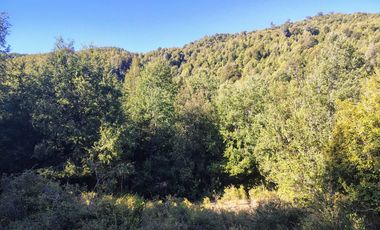 PARCELAS DESDE 5000 M2 CERCA DE NEVADOS DE CHILLÁN