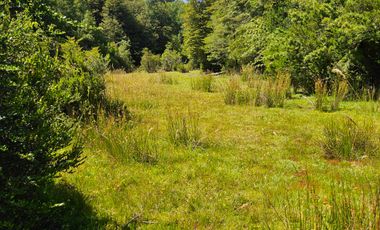 PARCELAS DESDE 5000 M2 CERCA DE NEVADOS DE CHILLÁN