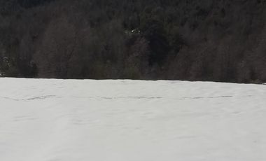 PARCELAS DESDE 5000 M2 CERCA DE NEVADOS DE CHILLÁN