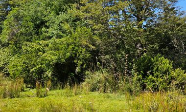 PARCELAS DESDE 5000 M2 CERCA DE NEVADOS DE CHILLÁN