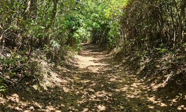 PARCELAS DESDE 5000 M2 CERCA DE NEVADOS DE CHILLÁN