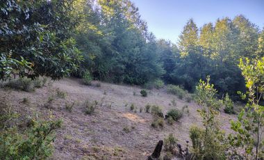 PARCELAS DESDE 5000 M2 CERCA DE NEVADOS DE CHILLÁN