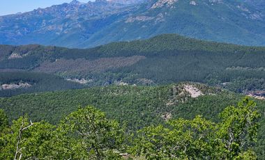 PARCELAS DESDE 5000 M2 CERCA DE NEVADOS DE CHILLÁN