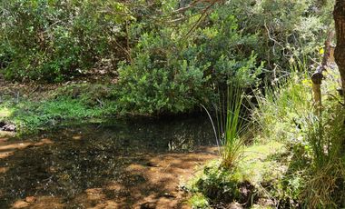 PARCELAS DESDE 5000 M2 CERCA DE NEVADOS DE CHILLÁN