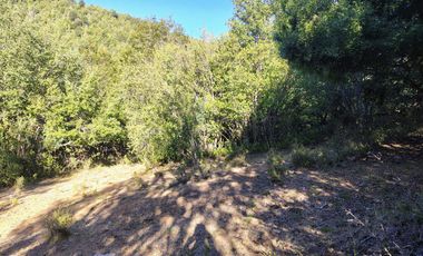 PARCELAS DESDE 5000 M2 CERCA DE NEVADOS DE CHILLÁN