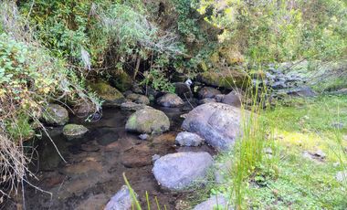 PARCELAS DESDE 5000 M2 CERCA DE NEVADOS DE CHILLÁN