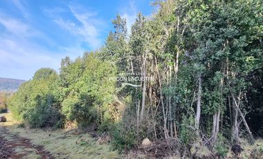 Parcela en venta  en VILLARRICA