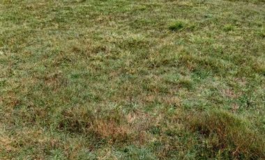 Parcela en venta  en TEMUCO