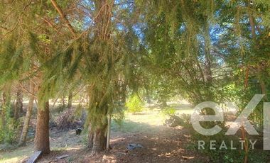 Casa en Arriendo en Kilómetro 11,5 Camino Villarrica - Pucón