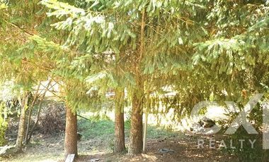 Casa en Arriendo en Kilómetro 11,5 Camino Villarrica - Pucón