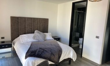 Arriendo Acogedor Dpto., Excelente Estado, Santiago Centro.