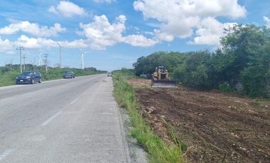 TERRENO DE 300 m² EN VENTA A UNOS MINUTOS DE CHICXULUB PUERTO CON CASETA DE GUAR