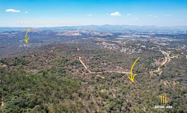 Terreno en Venta en Haras, Flor del Bosque, Puebla