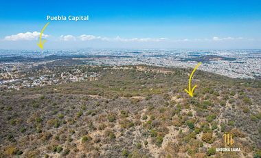 Terreno en Venta en Haras, Flor del Bosque, Puebla