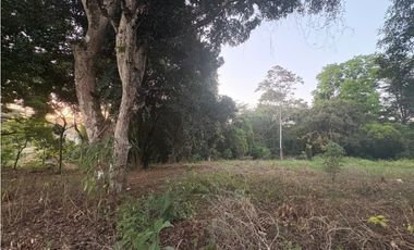 LA CHORRERA / EL ESPINO / 6818M / SOBRE LA VIA / USO COMERCIAL / AG