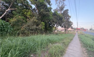 LA CHORRERA / EL ESPINO / 6818M / SOBRE LA VIA / USO COMERCIAL / AG