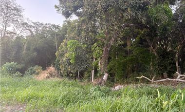 LA CHORRERA / EL ESPINO / 6818M / SOBRE LA VIA / USO COMERCIAL / AG