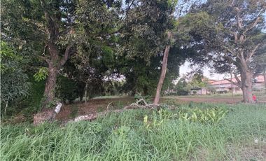 LA CHORRERA / EL ESPINO / 6818M / SOBRE LA VIA / USO COMERCIAL / AG