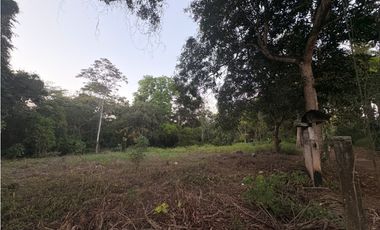 LA CHORRERA / EL ESPINO / 6818M / SOBRE LA VIA / USO COMERCIAL / AG